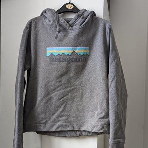 Patagonia Womens Hoodie